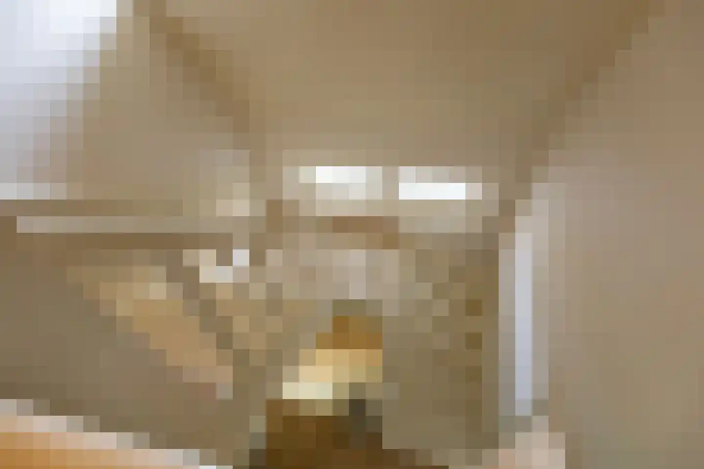 Hogeweg 35 Velp thumbnail 33