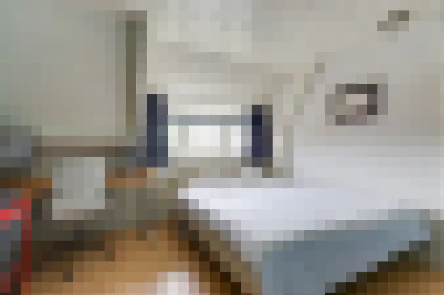 Hogeweg 35 Velp thumbnail 36