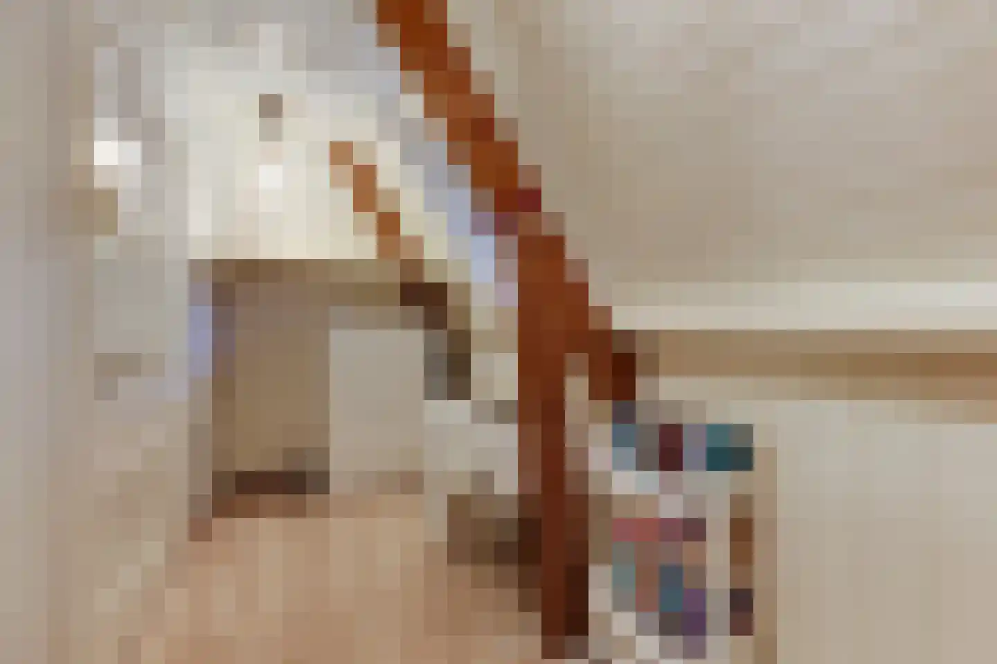 Hogeweg 35 Velp thumbnail 38