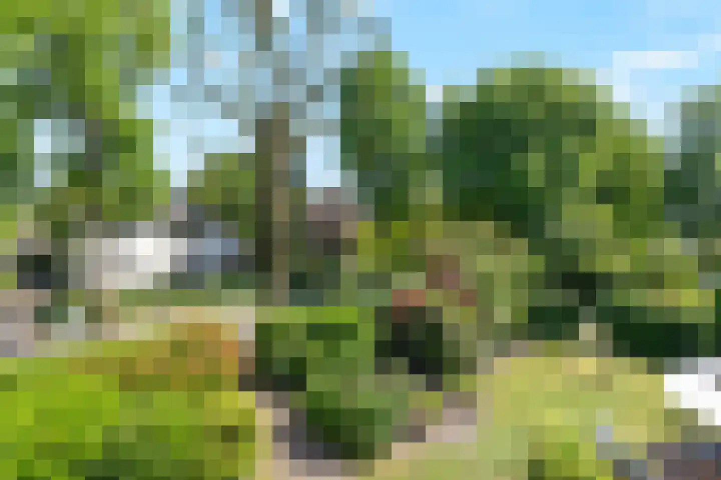 Hogeweg 35 Velp thumbnail 4