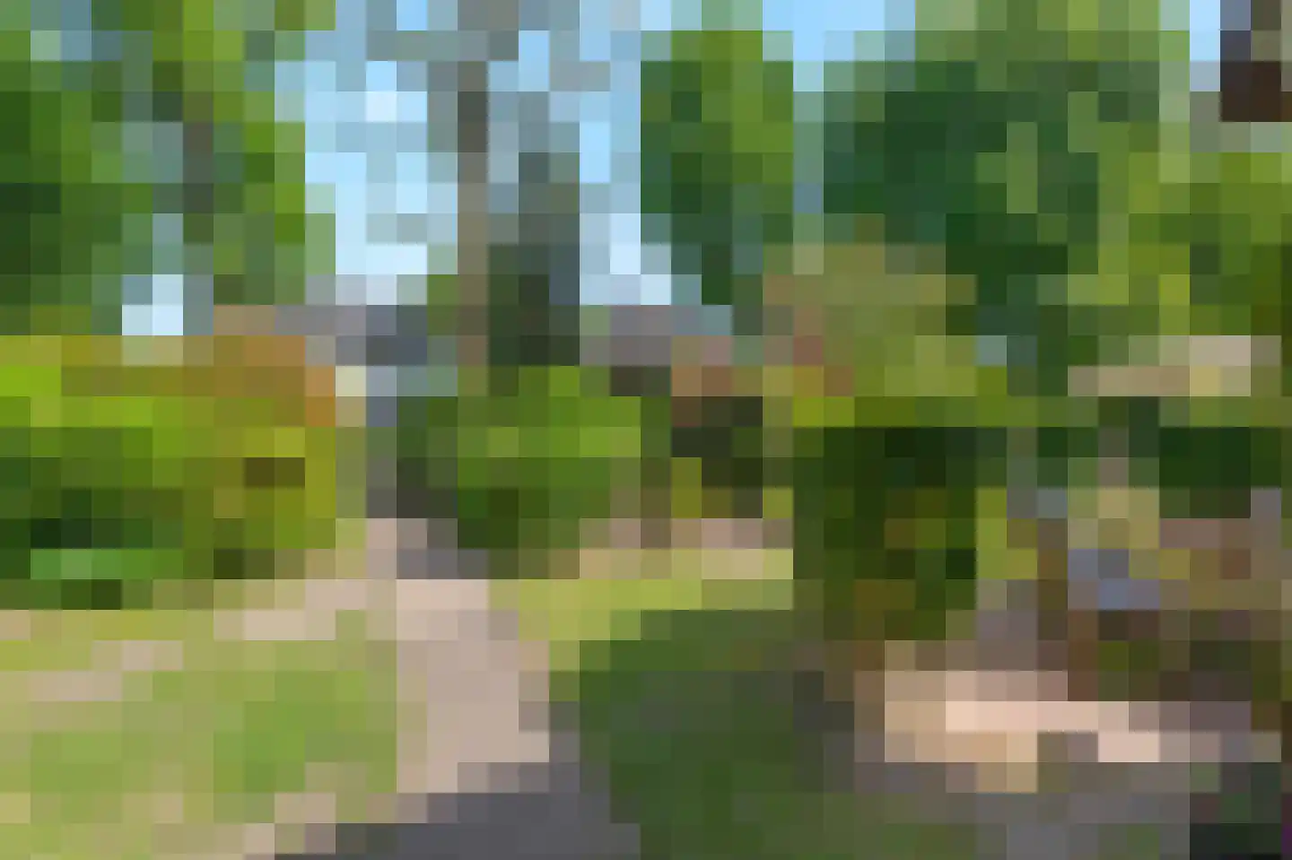 Hogeweg 35 Velp thumbnail 43