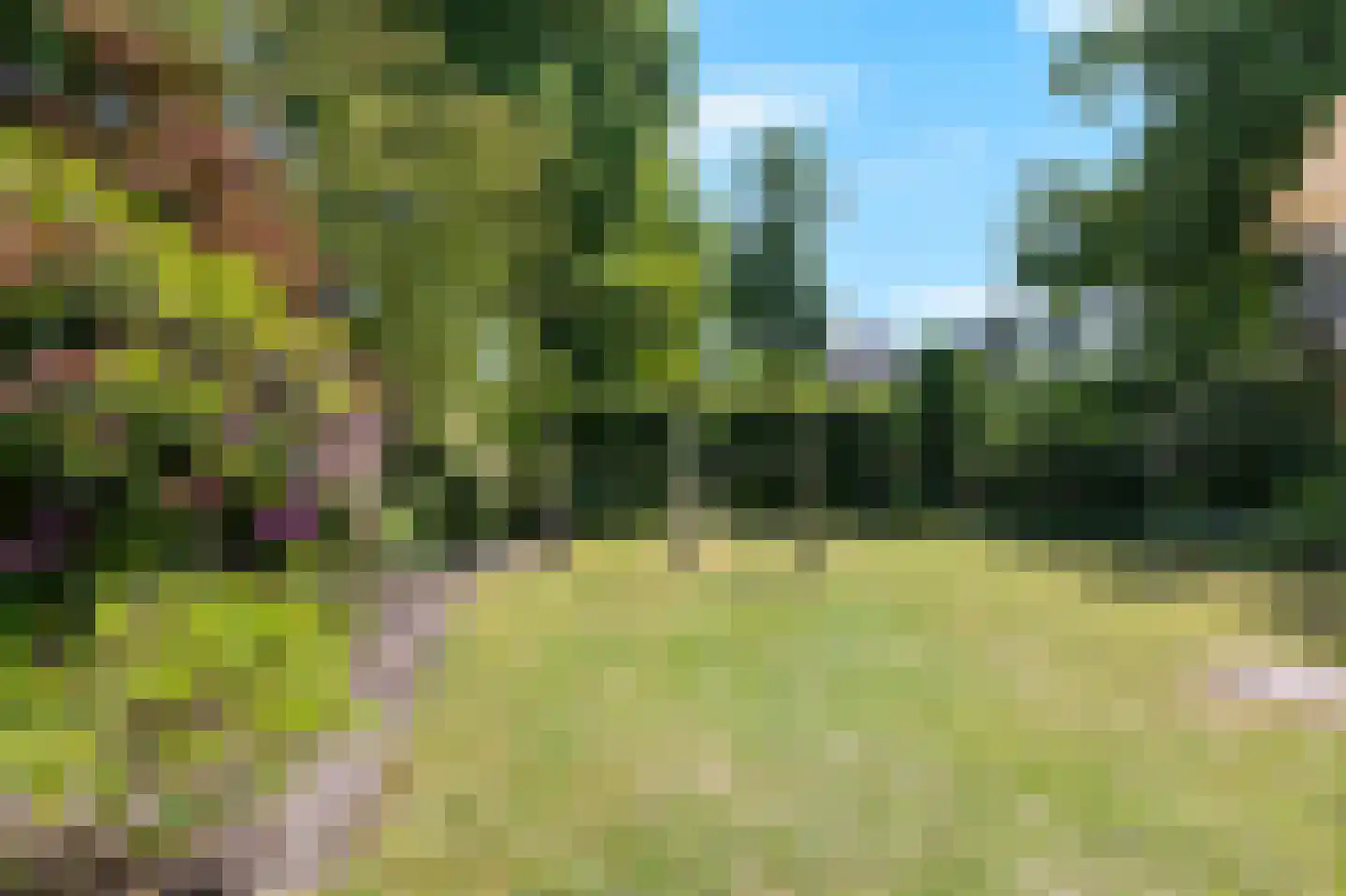 Hogeweg 35 Velp thumbnail 48