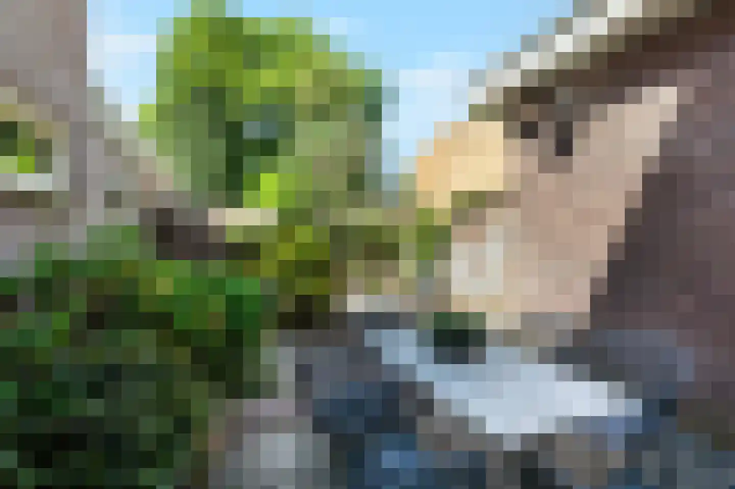 Hogeweg 35 Velp thumbnail 52