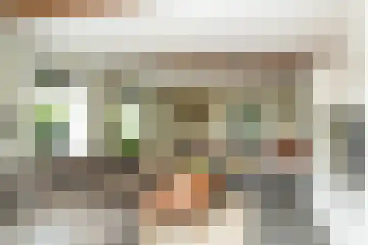 Hogeweg 36 Dreumel thumbnail 11