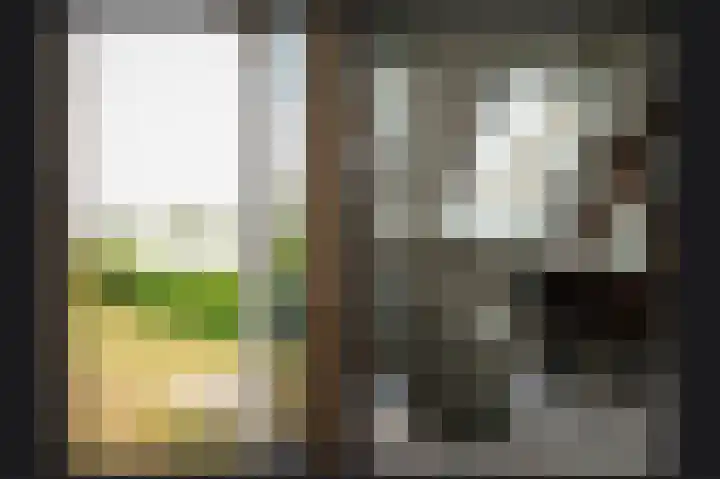 Hogeweg 36 Dreumel thumbnail 31