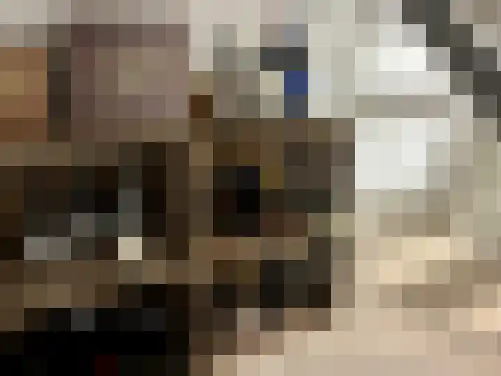 Hogeweg 36 Dreumel thumbnail 43