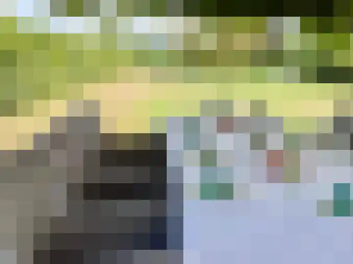 Hogeweg 36 Dreumel thumbnail 45