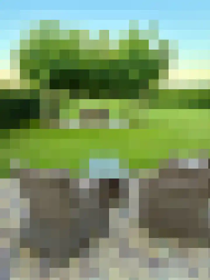 Hogeweg 36 Dreumel thumbnail 48