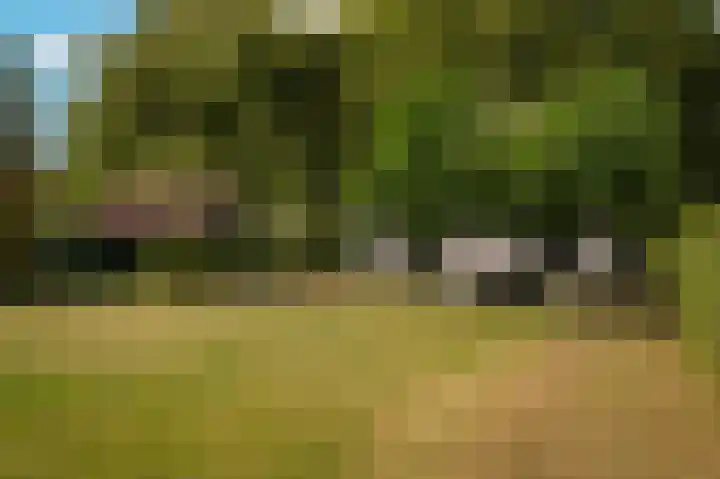 Hogeweg 36 Dreumel thumbnail 51