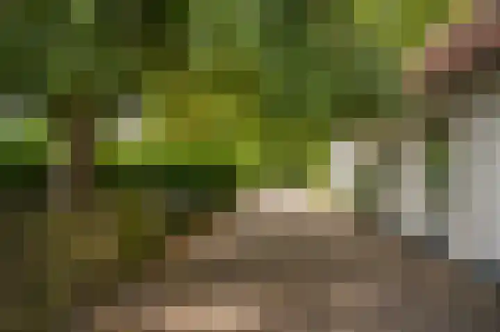 Hogeweg 36 Dreumel thumbnail 55
