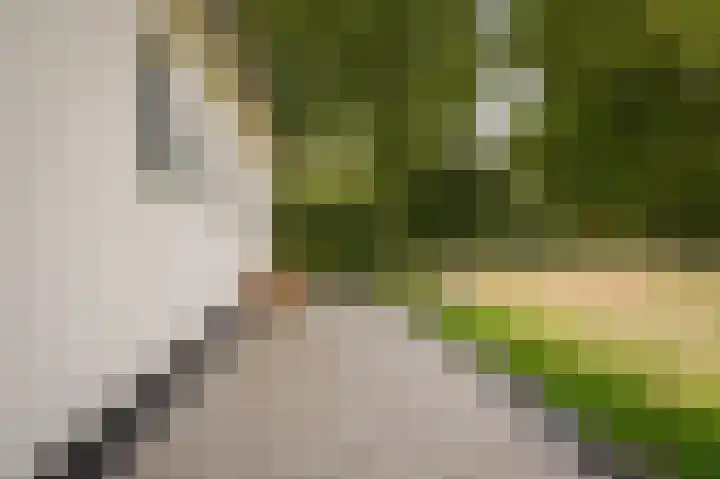Hogeweg 36 Dreumel thumbnail 58