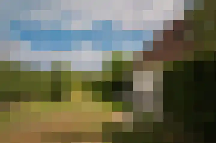 Hogeweg 36 Dreumel thumbnail 59