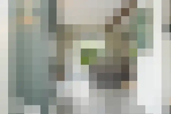 Hogeweg 36 Dreumel thumbnail 6