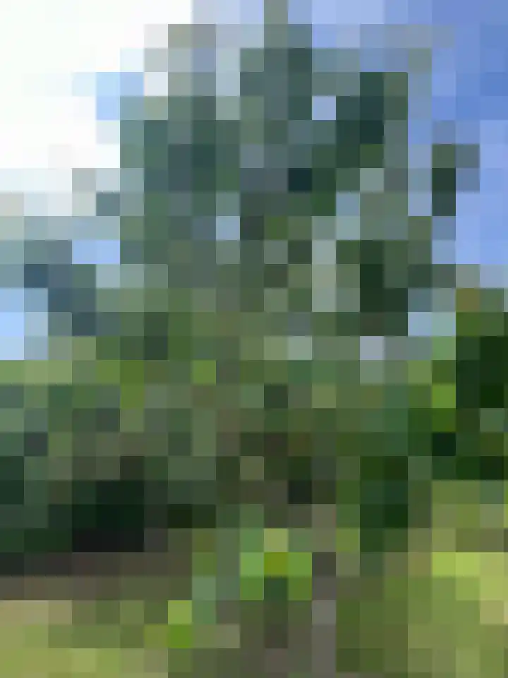Hogeweg 36 Dreumel thumbnail 66