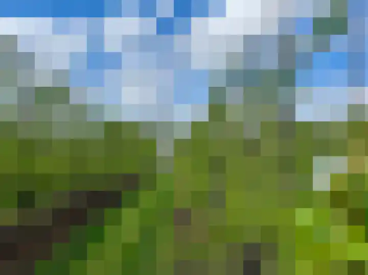 Hogeweg 36 Dreumel thumbnail 70