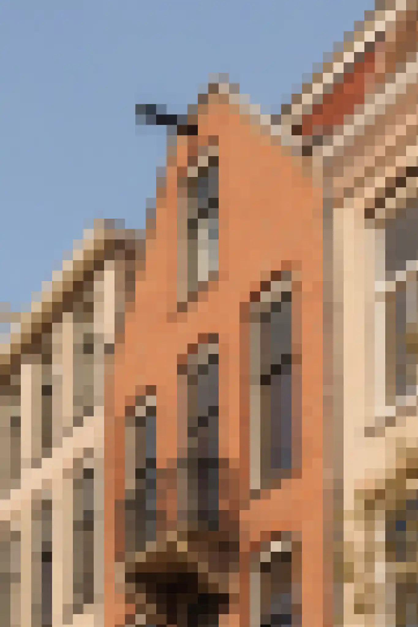 Hogeweg 37 2 Amsterdam thumbnail 5