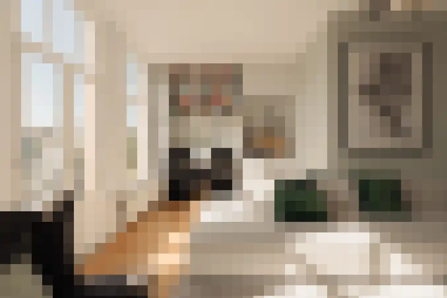 Hogeweg 37 2 Amsterdam thumbnail 8