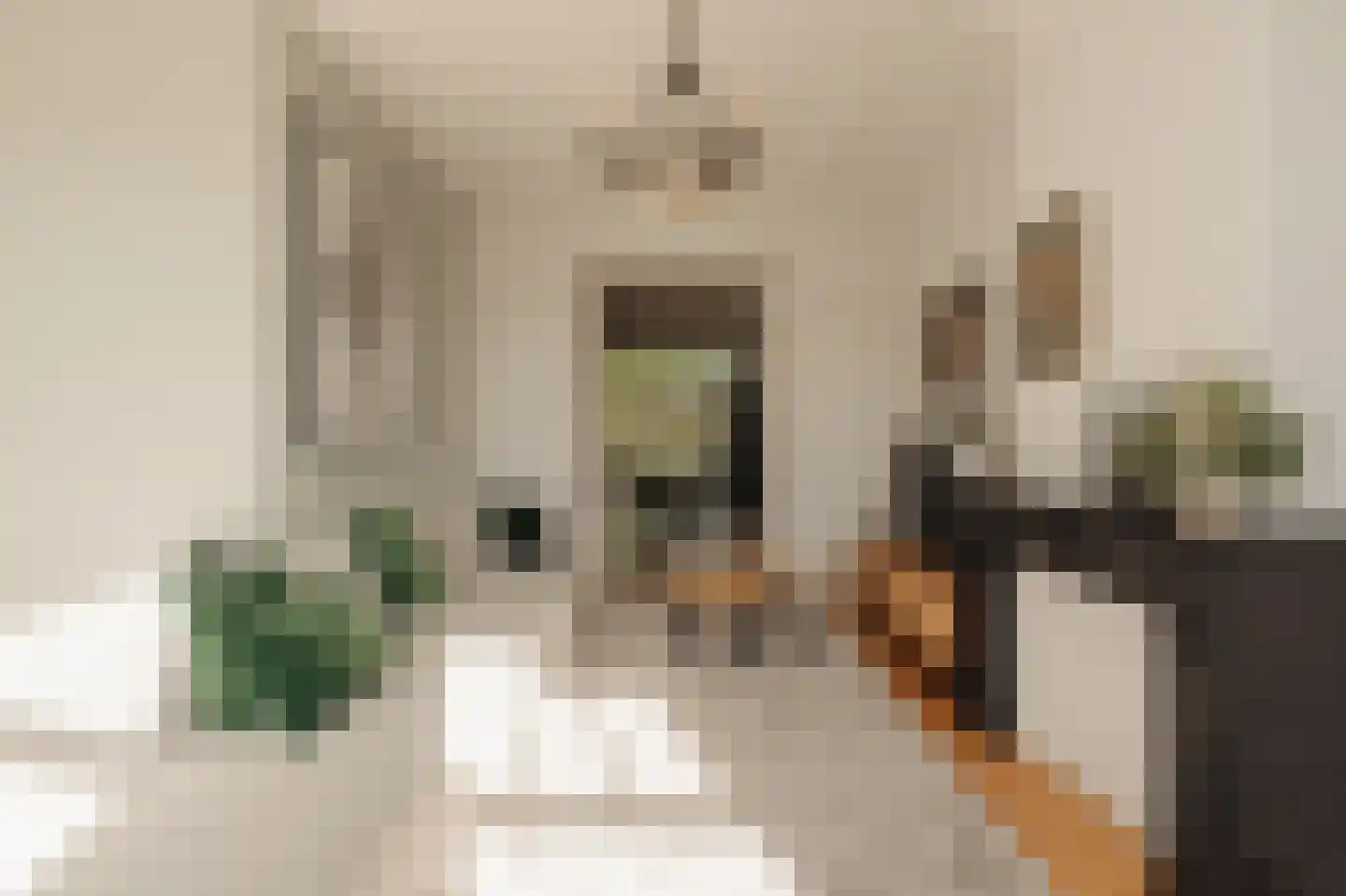 Hogeweg 37 2 Amsterdam thumbnail 9