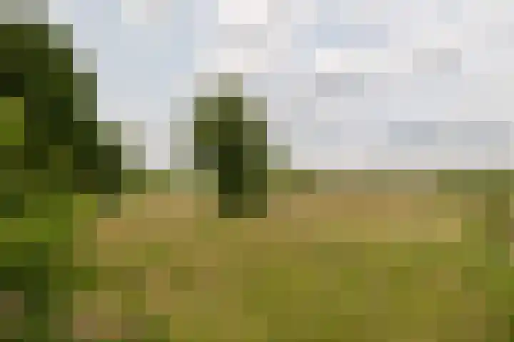 Hogeweg 37 Elspeet thumbnail 10