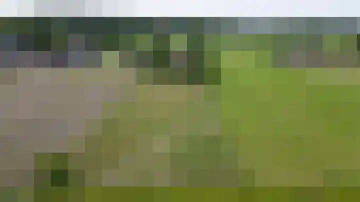 Hogeweg 37 Elspeet thumbnail 12