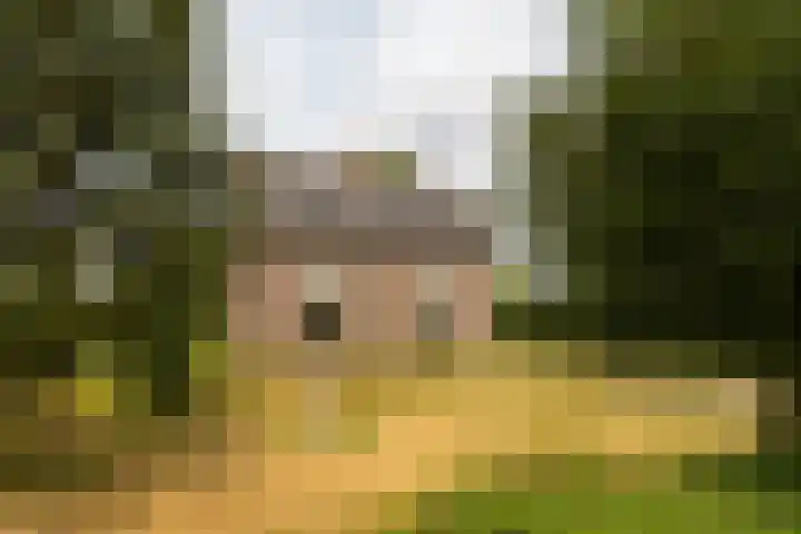 Hogeweg 37 Elspeet thumbnail 14
