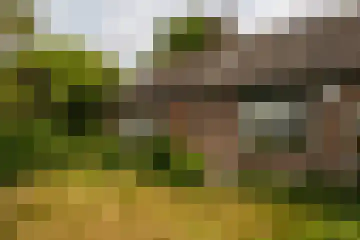 Hogeweg 37 Elspeet thumbnail 15