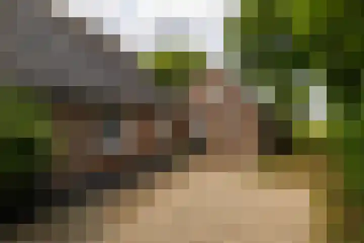 Hogeweg 37 Elspeet thumbnail 19