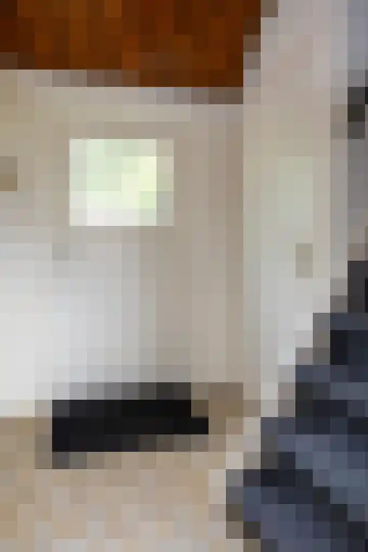 Hogeweg 37 Elspeet thumbnail 28
