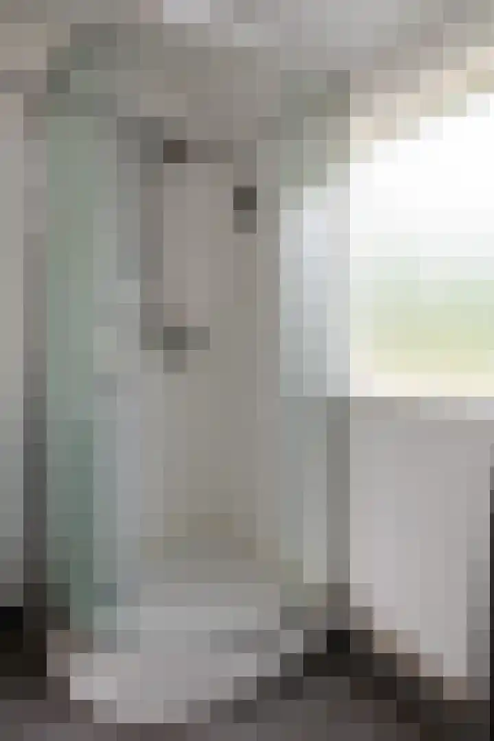 Hogeweg 37 Elspeet thumbnail 31