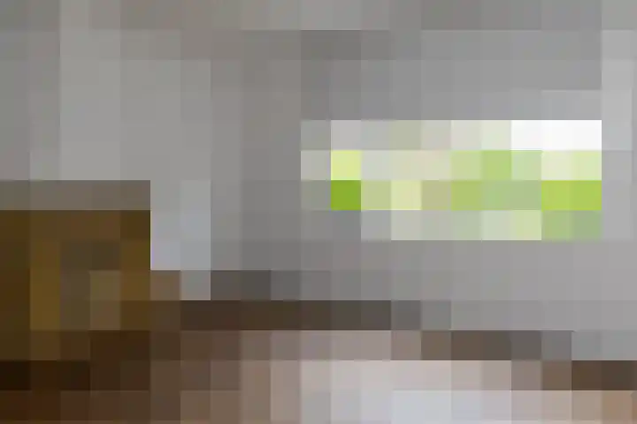 Hogeweg 37 Elspeet thumbnail 32