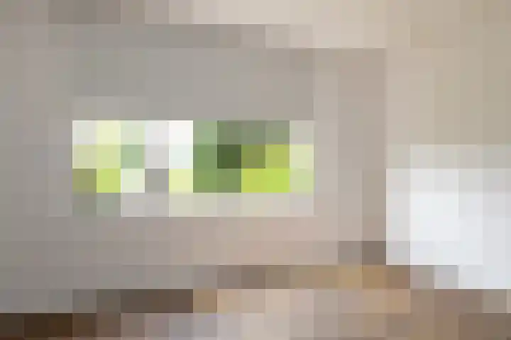 Hogeweg 37 Elspeet thumbnail 33