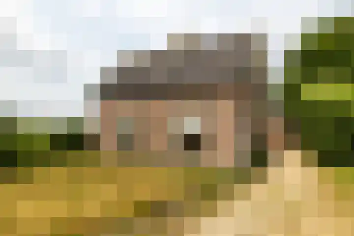 Hogeweg 37 Elspeet thumbnail 4