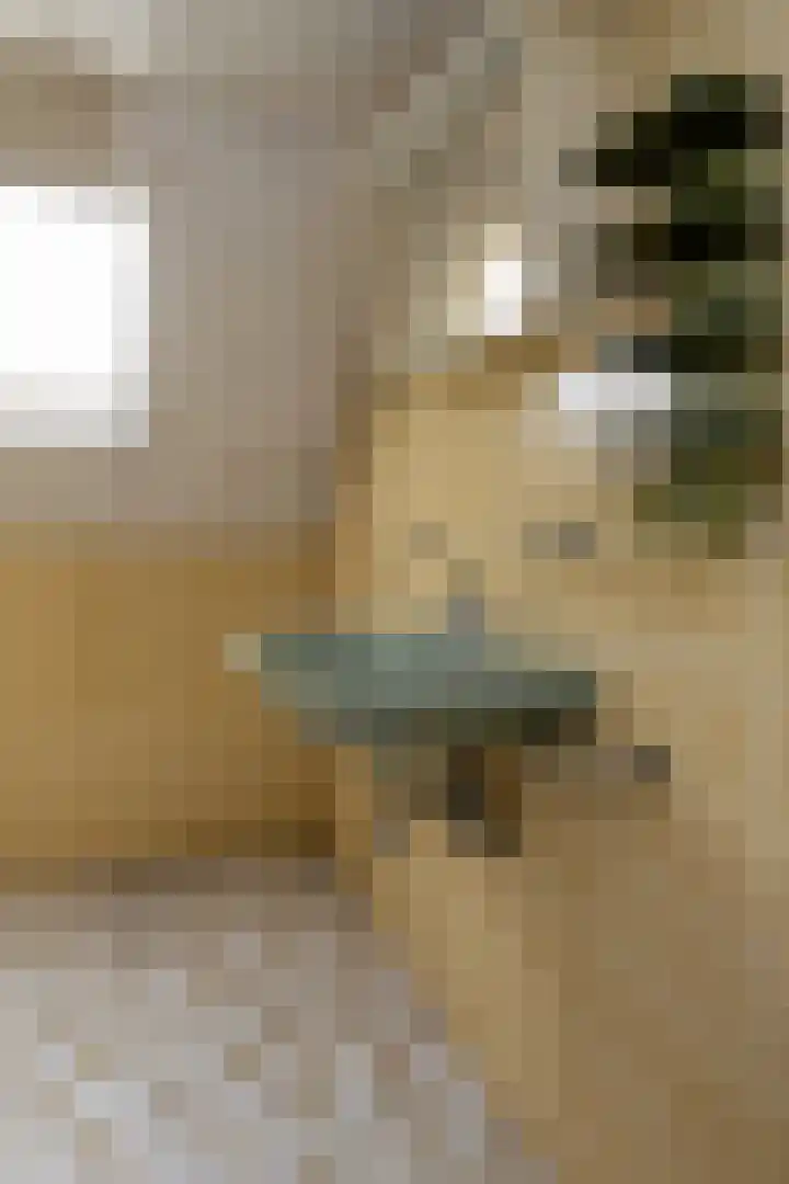 Hogeweg 37 Elspeet thumbnail 40