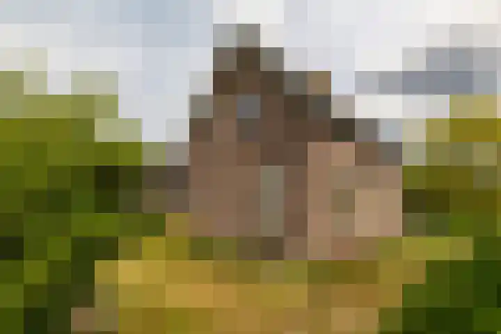 Hogeweg 37 Elspeet thumbnail 5