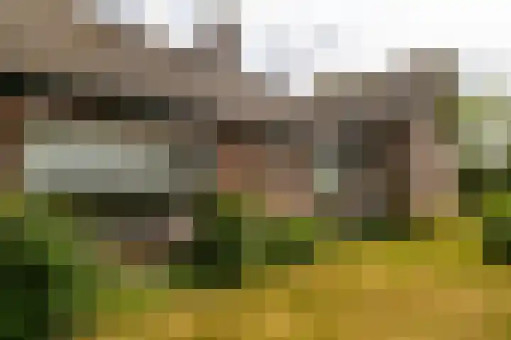 Hogeweg 37 Elspeet thumbnail 6