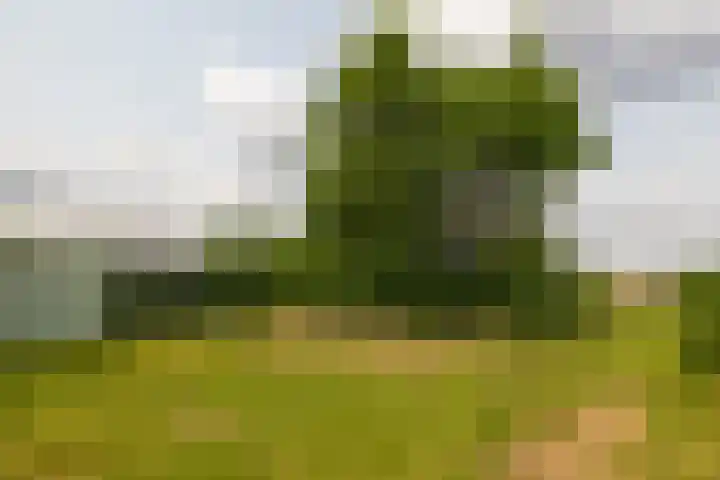 Hogeweg 37 Elspeet thumbnail 8