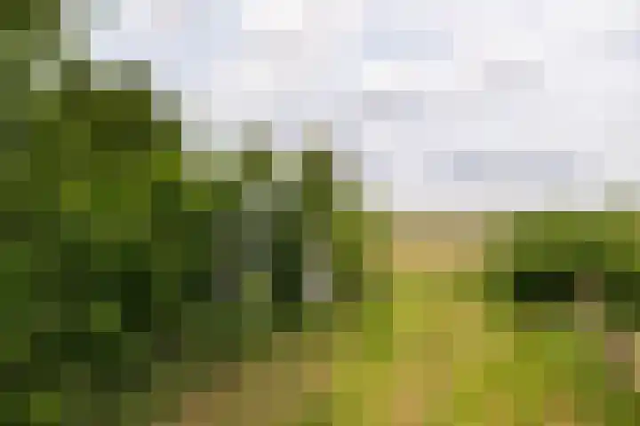 Hogeweg 37 Elspeet thumbnail 9