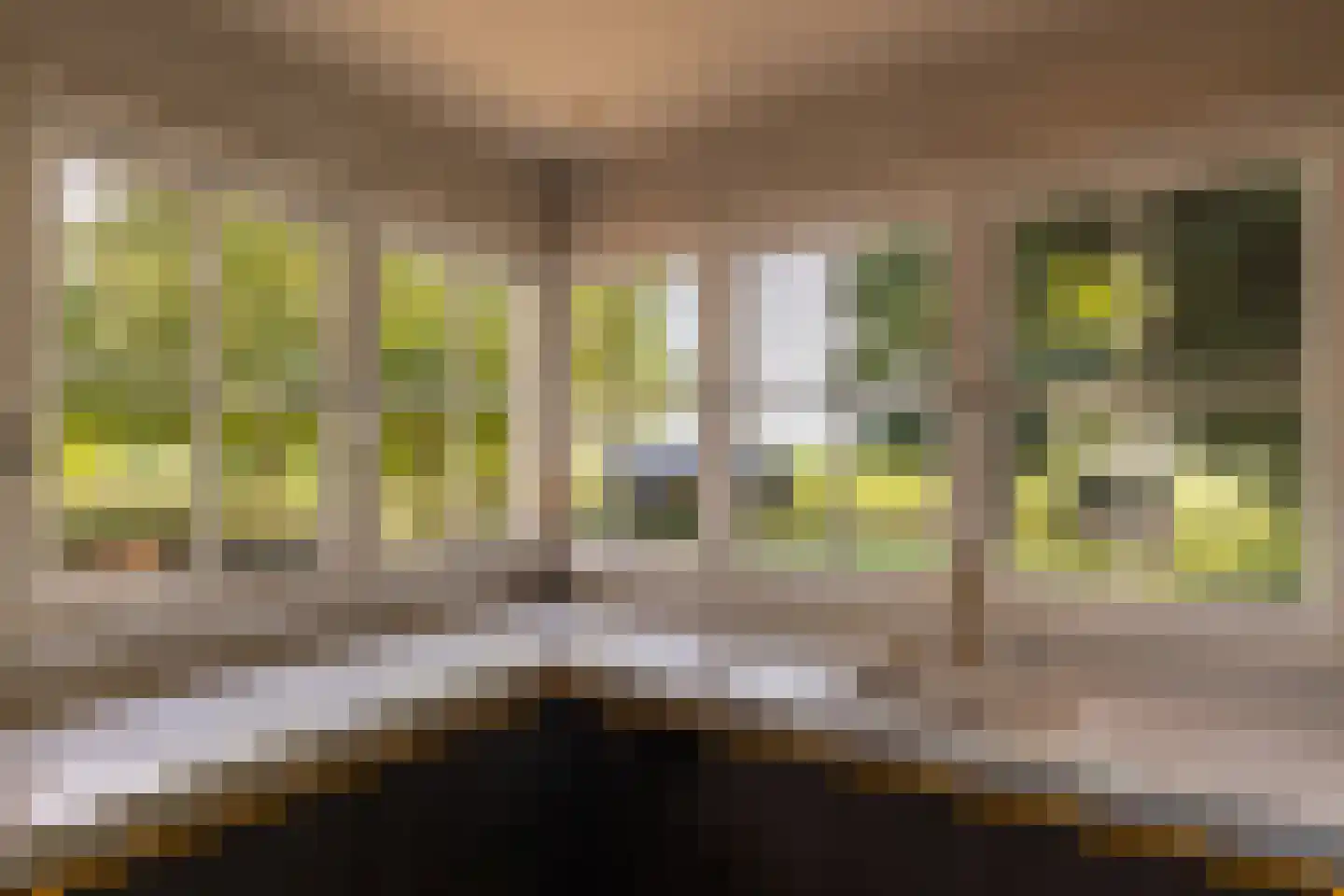 Hogeweg 37 Kamperveen thumbnail 14
