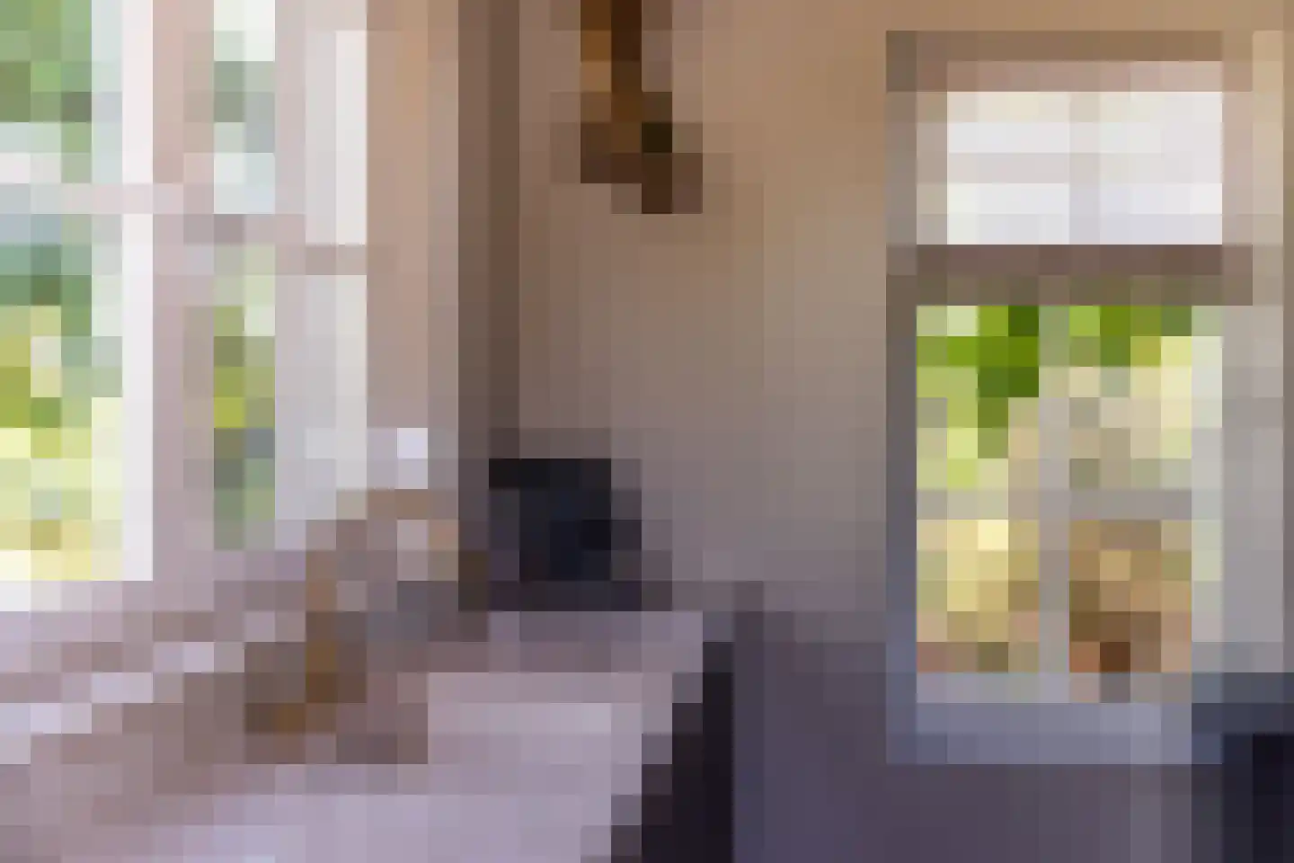 Hogeweg 37 Kamperveen thumbnail 17