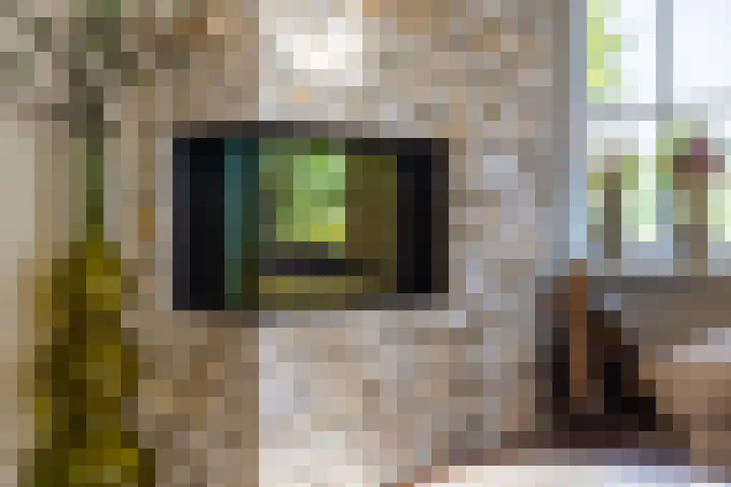 Hogeweg 37 Kamperveen thumbnail 23