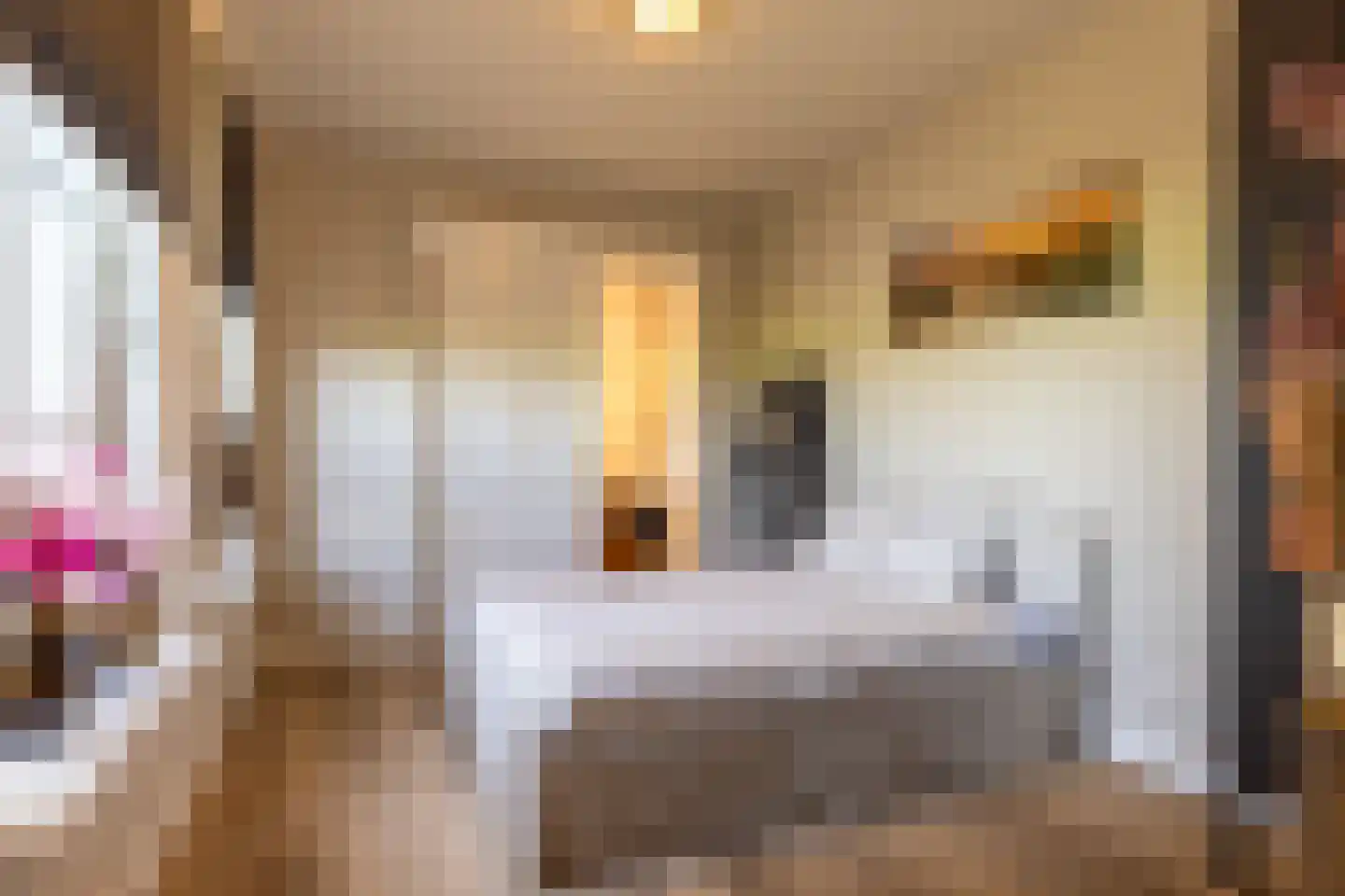Hogeweg 37 Kamperveen thumbnail 31
