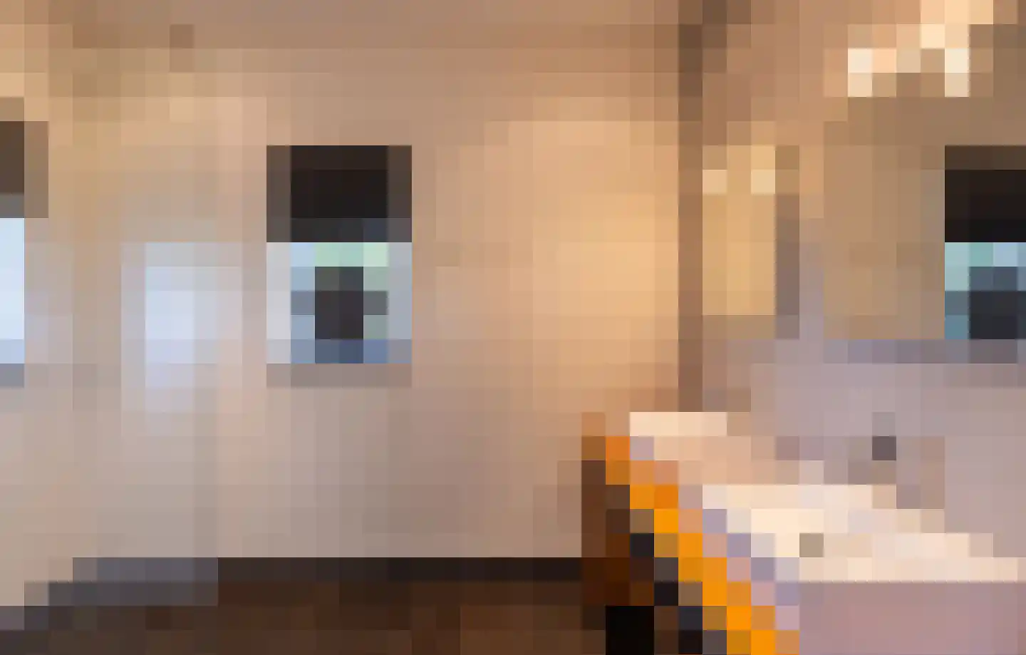 Hogeweg 37 Kamperveen thumbnail 32