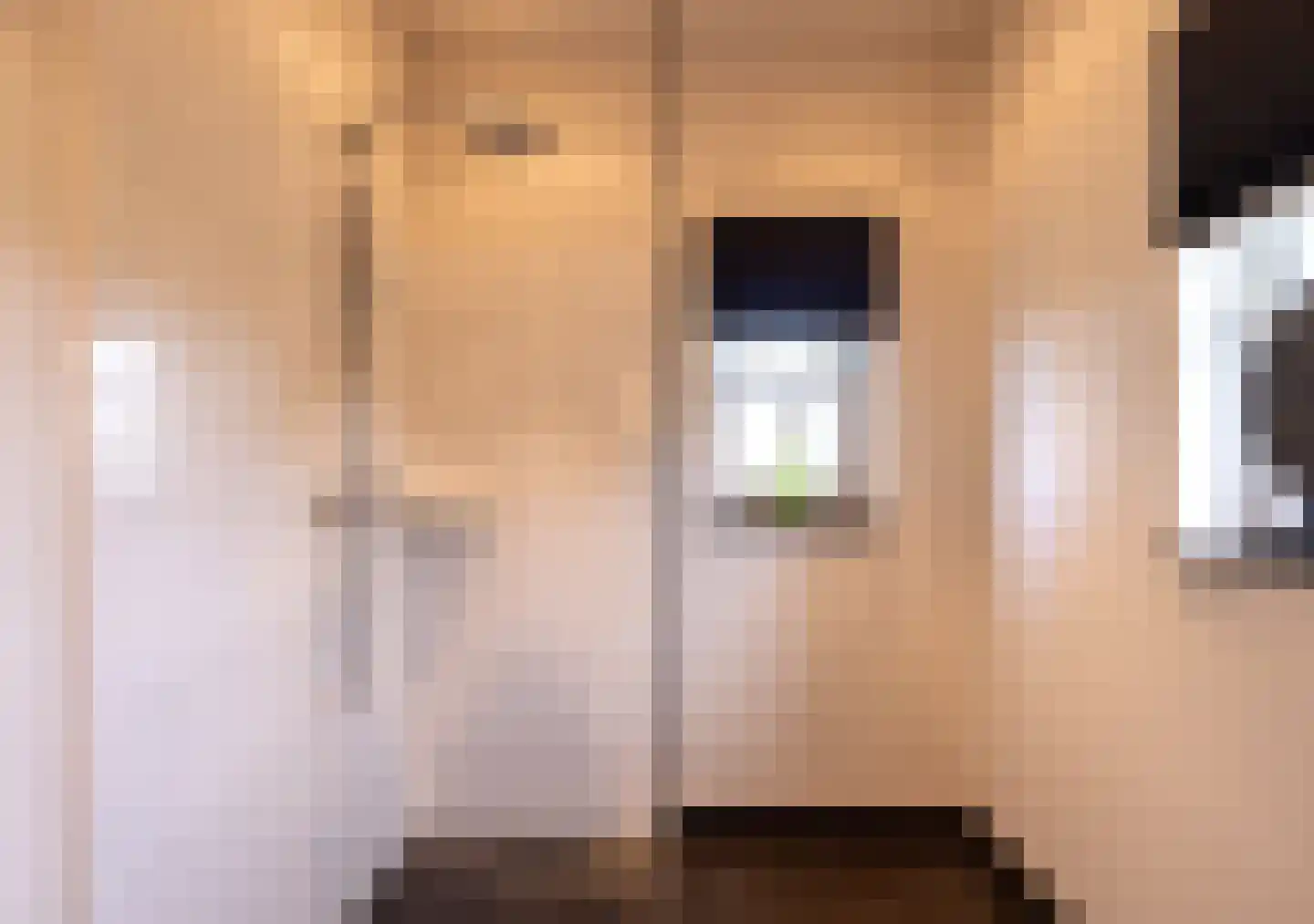 Hogeweg 37 Kamperveen thumbnail 33