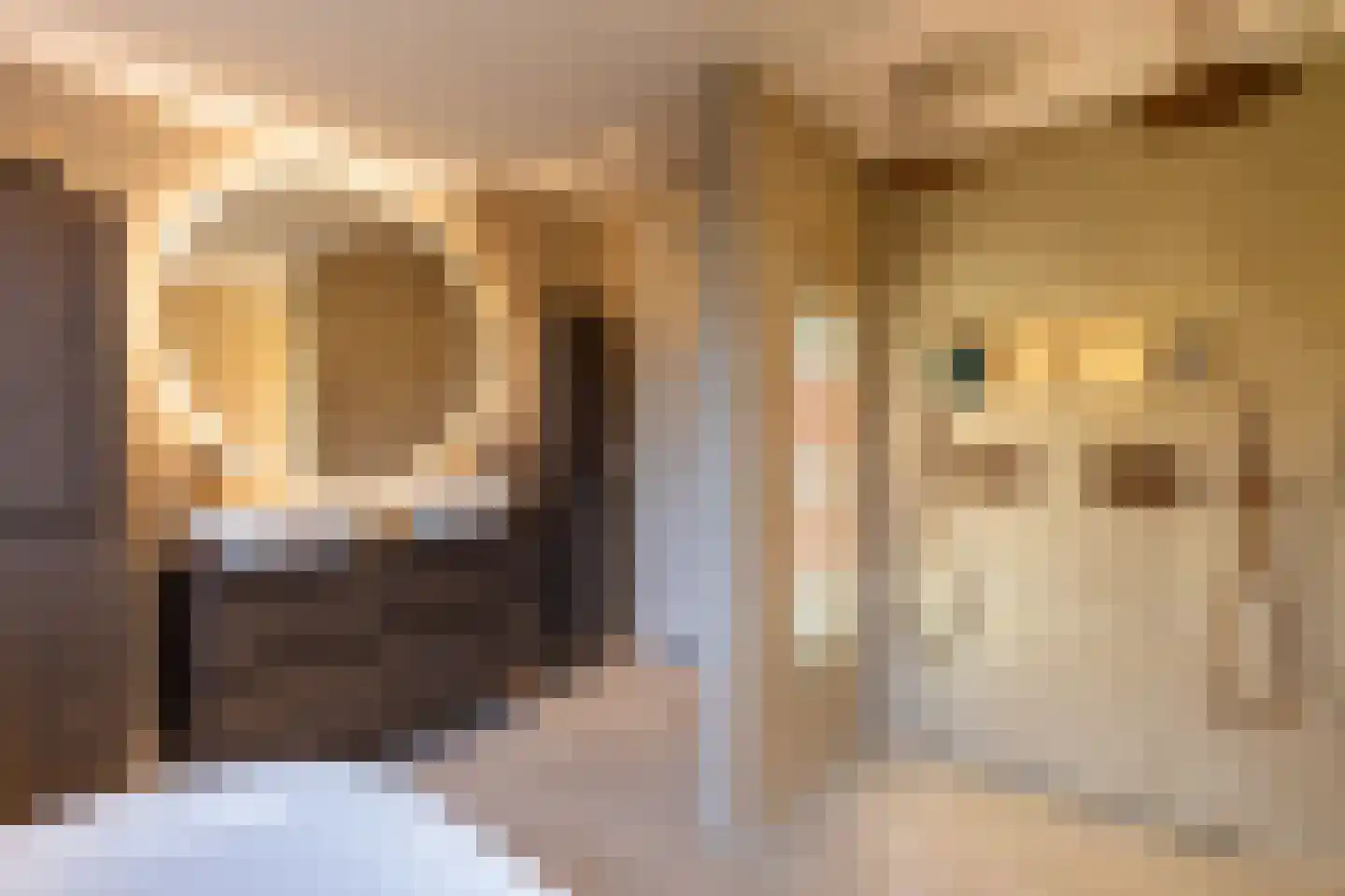 Hogeweg 37 Kamperveen thumbnail 36