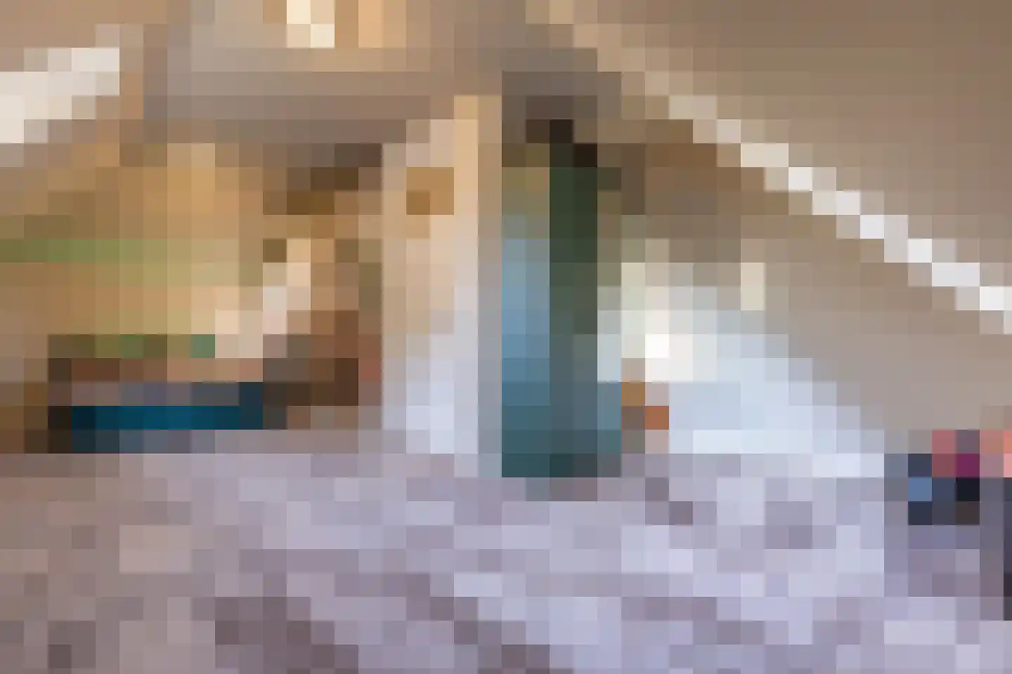 Hogeweg 37 Kamperveen thumbnail 42
