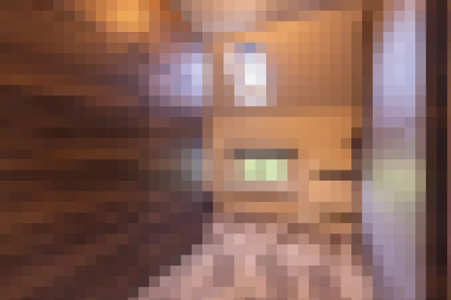 Hogeweg 37 Kamperveen thumbnail 43