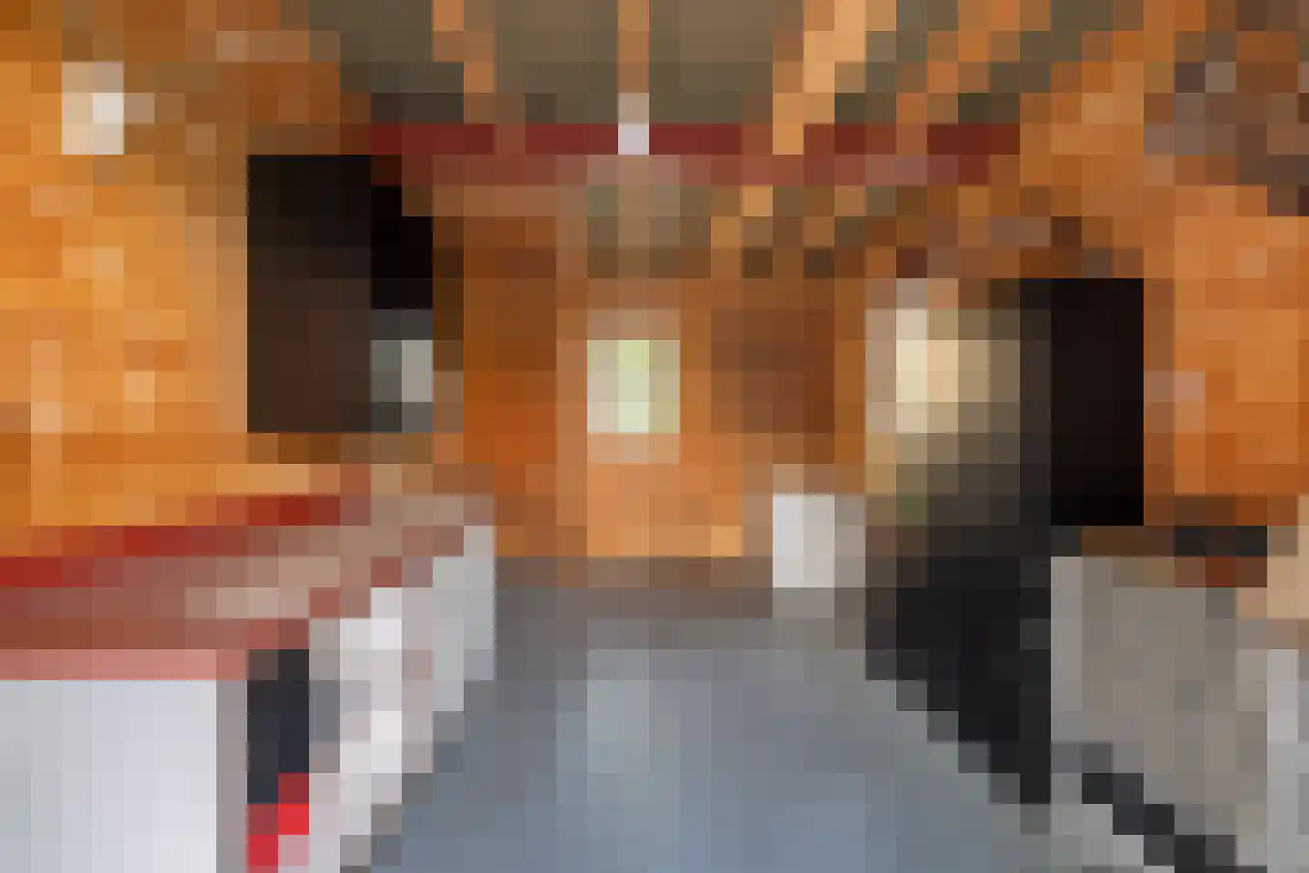 Hogeweg 37 Kamperveen thumbnail 49