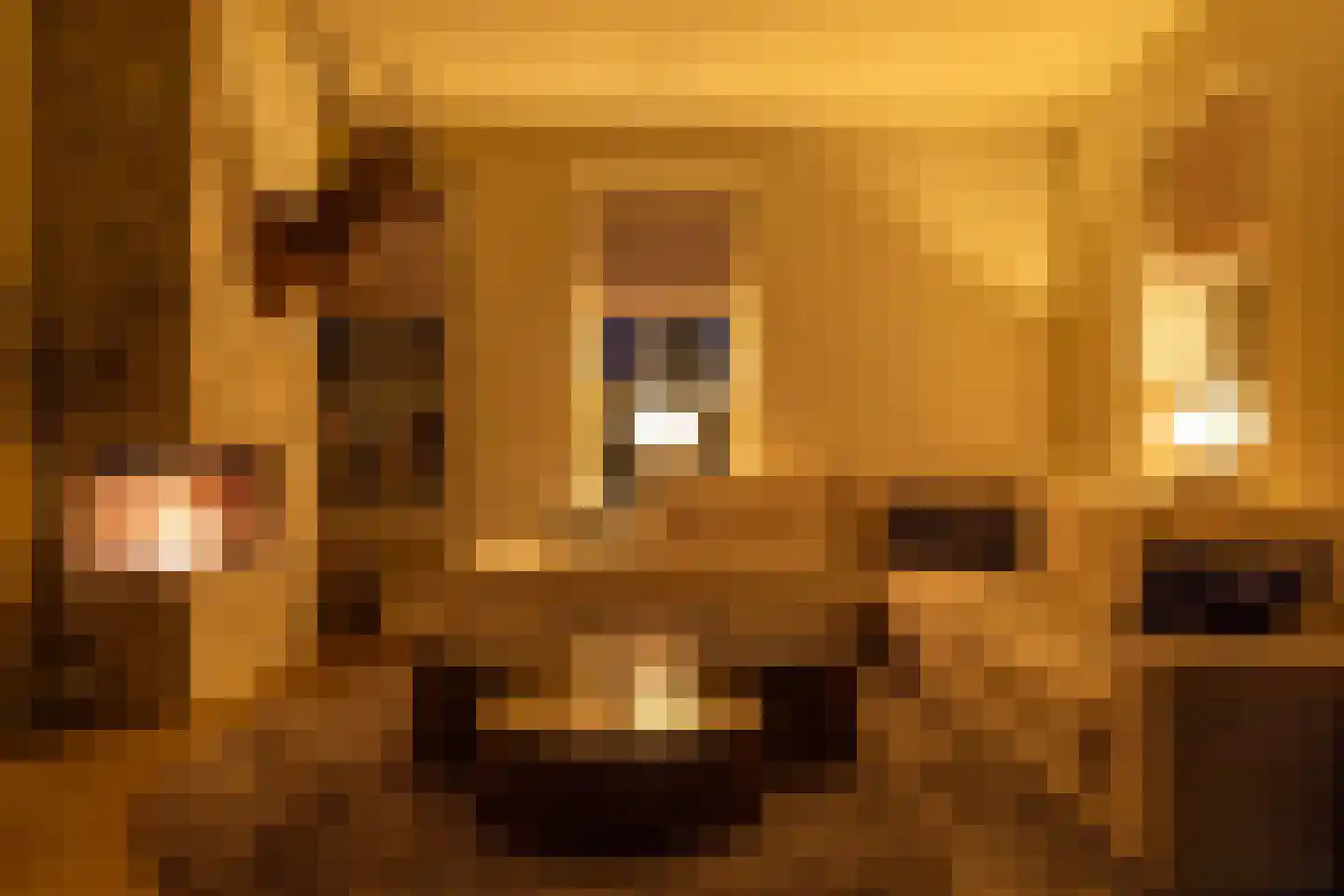 Hogeweg 37 Kamperveen thumbnail 5
