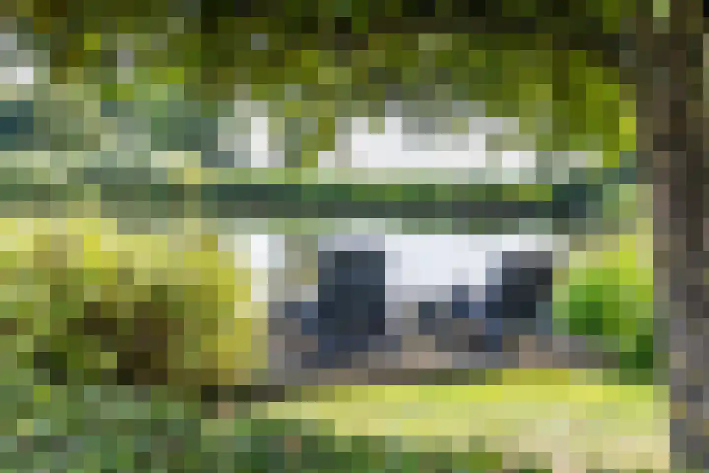 Hogeweg 37 Kamperveen thumbnail 51