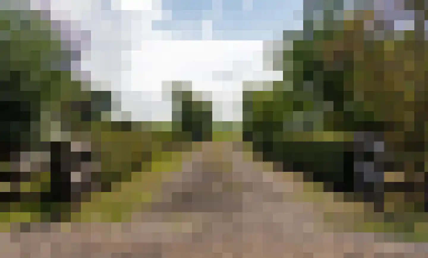 Hogeweg 37 Kamperveen thumbnail 52